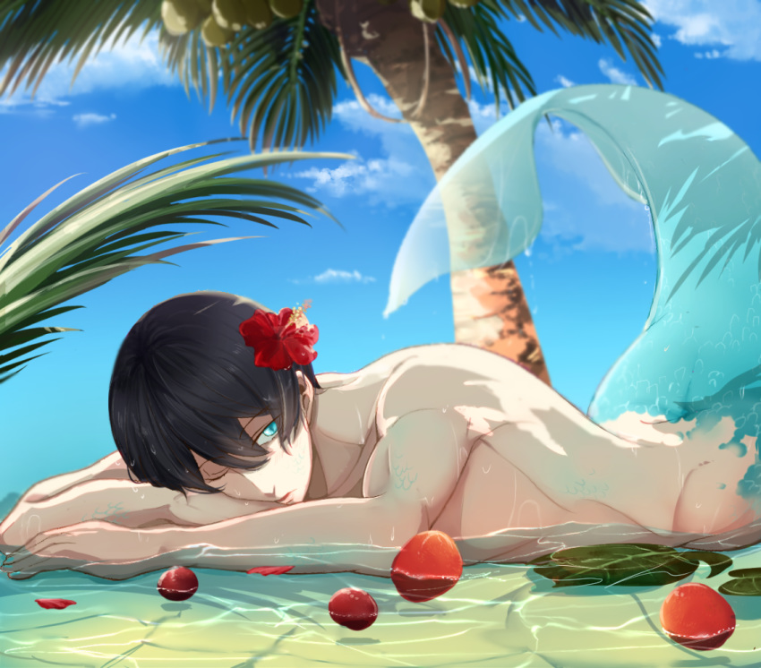 beach black_hair blue_eyes day fins flower free! hair_flower hair_ornament hibiscus lying male_focus merman monster_boy nanase_haruka_(free!) on_stomach one_eye_closed open_mouth palm_tree parted_lips petals sabatora scales shallow_water solo tail tree water