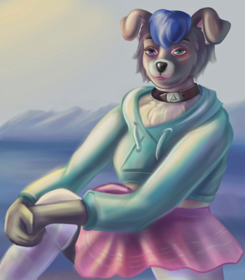 animal_humanoid anthro border_collie bottomwear bottomwear_down canid canid_humanoid canine canine_humanoid canis clothed clothing clothing_lift collar collar_tag collie crossdressing davekitsune delta-ket dog_humanoid domestic_dog femboy_pride_colors girly herding_dog hi_res humanoid leash leashed_collar malish mammal mammal_humanoid pastoral_dog raised_bottomwear raised_clothing raised_skirt sheepdog skirt skirt_down skirt_lift solo sweater topwear