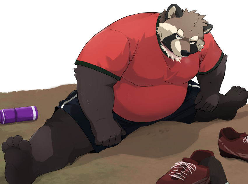 2024 4_toes anthro belly big_belly black_nose bottomwear brown_body canid canine clothing feet hi_res kemono male mammal noctnoc overweight overweight_male raccoon_dog shirt shorts sitting solo tanuki toes topwear