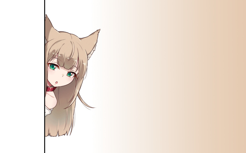 40hara animal_ears brown_hair catgirl collar gradient green_eyes long_hair original photoshop