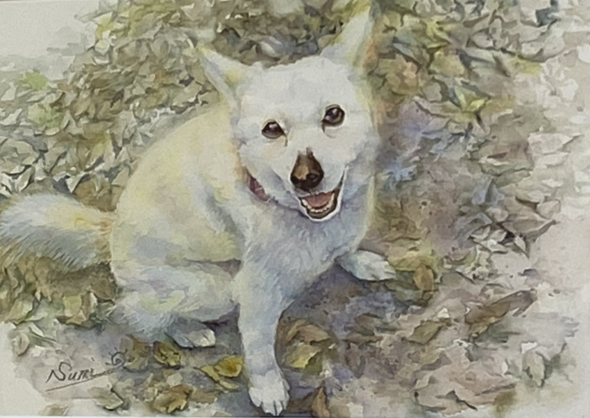 animal animal_focus autumn_leaves dog highres looking_at_viewer no_humans open_mouth original painting_(medium) realistic traditional_media watercolor_(medium) yu_grassbird
