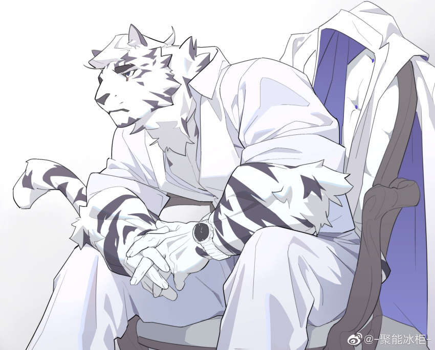 1boy animal_ears arknights bara collared_jacket collared_shirt facial_hair feet_out_of_frame fluffy formal furry furry_male goatee highres interlocked_fingers jacket ju_neng_binggui looking_to_the_side male_focus mountain_(arknights) muscular muscular_male on_chair own_hands_together partially_unbuttoned pectoral_cleavage pectorals scar scar_across_eye scar_on_face shirt short_hair sitting sleeves_rolled_up solo suit tail_raised thick_eyebrows tiger_boy tiger_ears unworn_jacket watch white_fur white_hair white_suit wristwatch