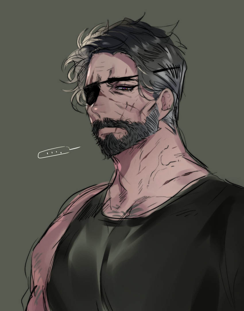 ... 1boy afterglow bara bear_shakra beard cheekbones chest_hair_peek eyepatch facial_hair feet_out_of_frame from_side full_beard gradient_hair grey_hair highres male_focus mature_male multicolored_hair muscular muscular_male old old_man original scar scar_on_cheek scar_on_face solo thick_eyebrows unfinished upper_body wrinkled_skin