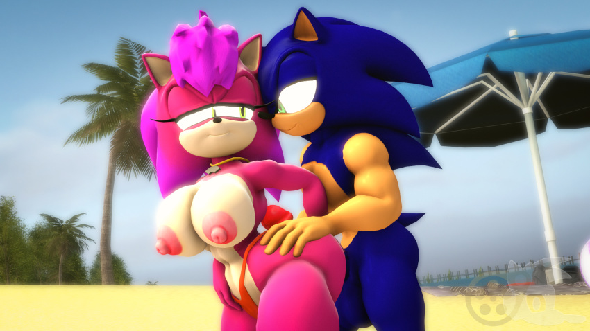 3d_(artwork) anthro beach beach_background breasts brother_(lore) brother_and_sister_(lore) clothing digital_media_(artwork) duo eulipotyphlan eye_contact female hand_on_butt hedgehog hi_res hug incest_(lore) jewelry juicyducksfm looking_at_another male male/female mammal necklace nude palm_tree panties penis_on_butt plant sand sega sibling_(lore) sister_(lore) smile sonia_the_hedgehog sonic_the_hedgehog sonic_the_hedgehog_(series) sonic_underground source_filmmaker tree umbrella underwear