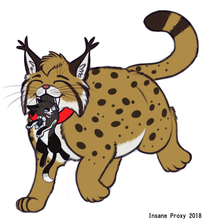 2018 cat feline feral insaneproxy_(artist) lynx mammal simple_background sketch