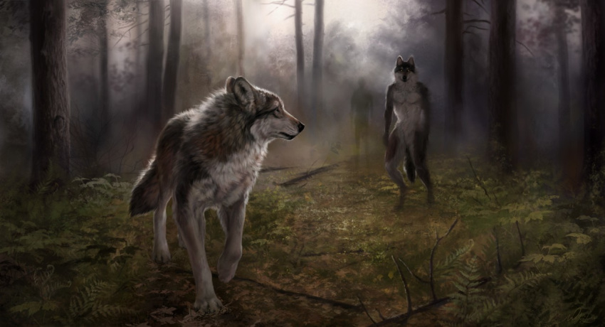 2018 anthro black_nose brown_fur canine detailed_background digital_media_(artwork) duo feral fur grass grey_fur male mammal moss outside paws standing white_fur wolf wolnir