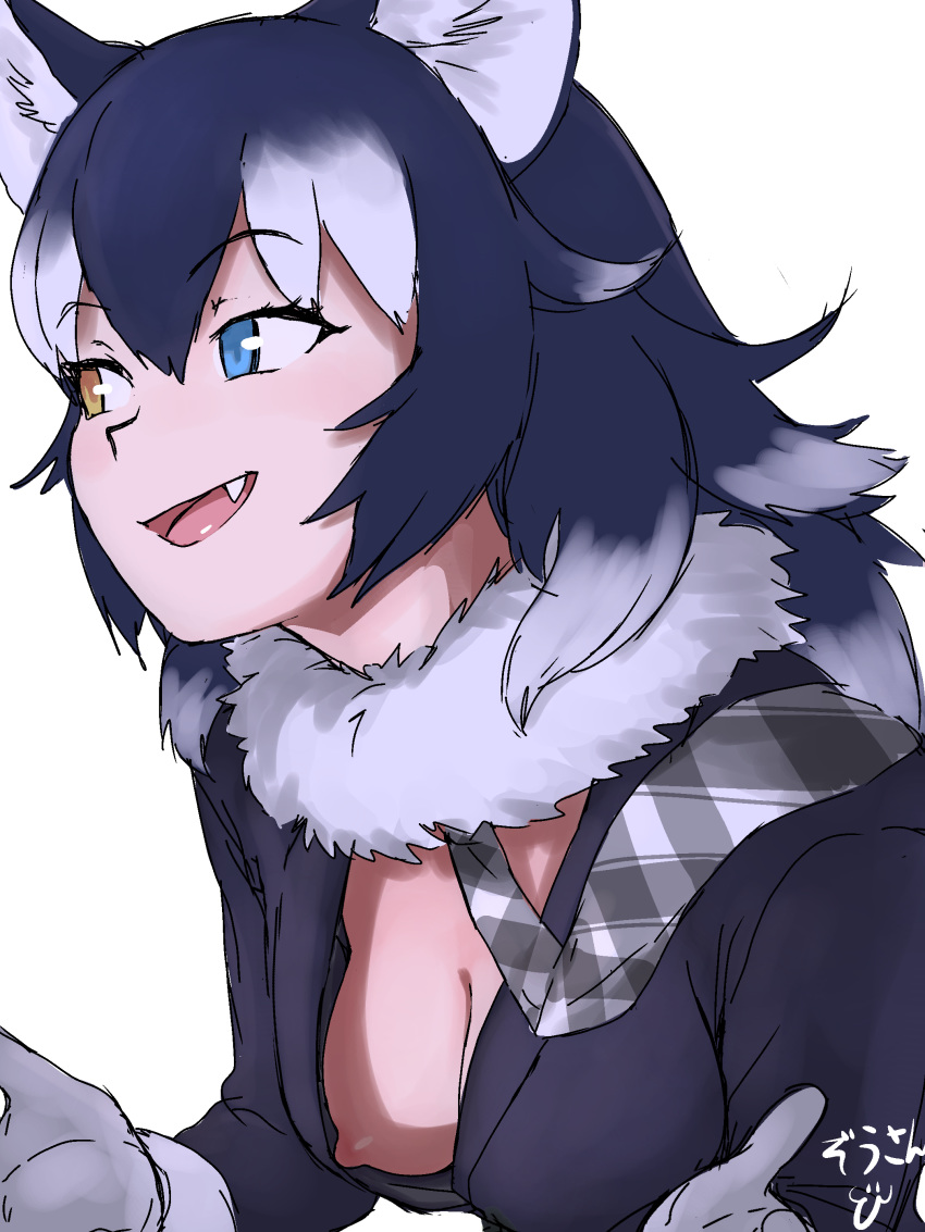 absurdres animal_ears blazer blue_eyes blue_hair breasts cleavage commentary_request eyebrows_visible_through_hair fang fur_collar gloves grey_background grey_wolf_(kemono_friends) hair_between_eyes hands_up heterochromia highres jacket kemono_friends leaning_forward long_hair long_sleeves looking_to_the_side masuyama_ryou medium_breasts multicolored_hair necktie nipple_slip nipples no_bra open_mouth plaid_neckwear sidelocks simple_background smile solo two-tone_hair upper_body white_background white_hair wolf_ears yellow_eyes