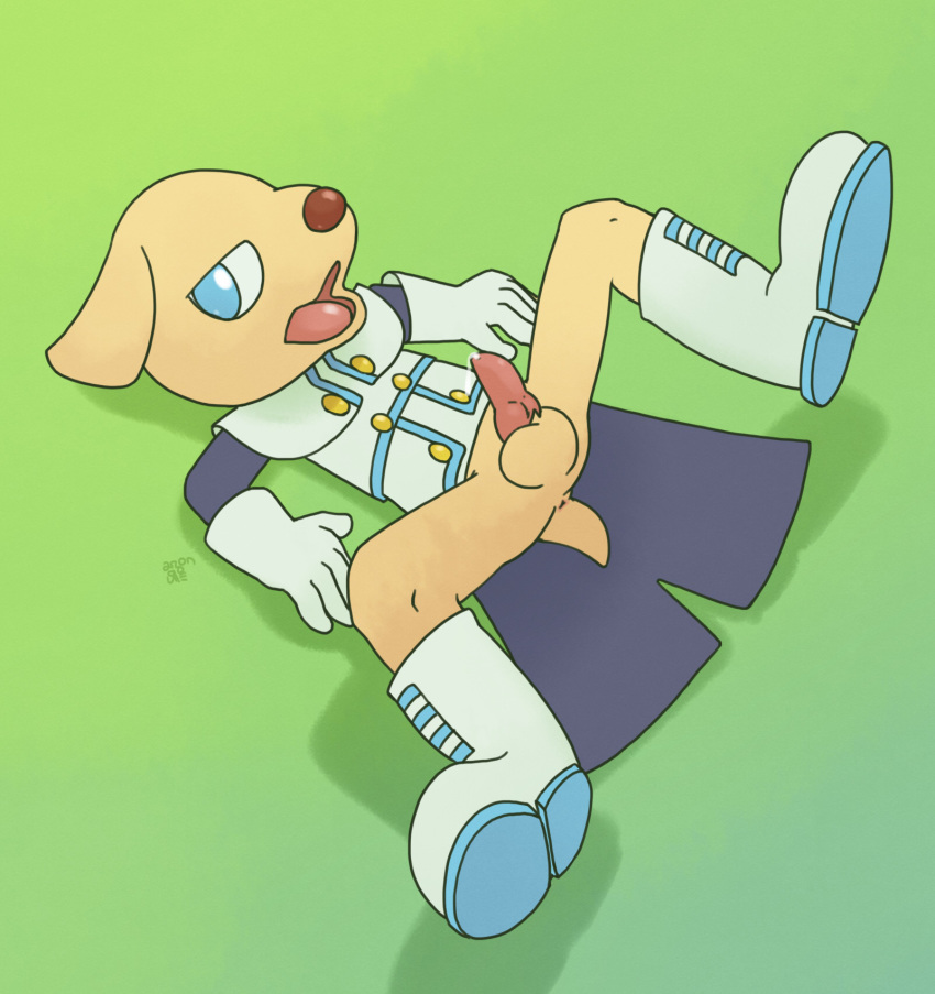 2018 ai_(tetris) anthro anus argon_vile balls blue_eyes boots bottomless canine chihuahua clothed clothing digital_media_(artwork) dog erection footwear gloves jacket knot looking_at_viewer lying male mammal on_back open_mouth penis precum presenting puyo_puyo puyo_puyo_tetris solo spread_legs spreading tapering_penis tongue