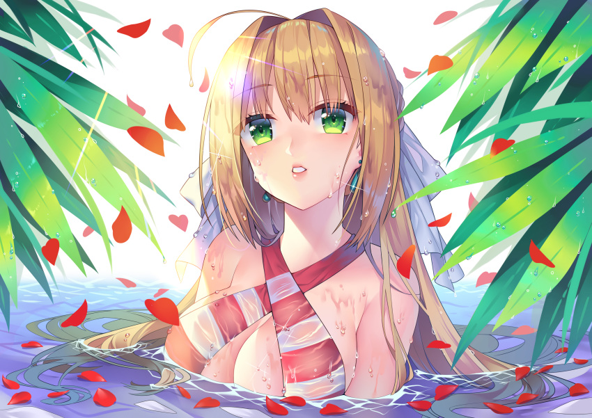 bikini cleavage fate/grand_order may_(2747513627) saber_extra swimsuits wet