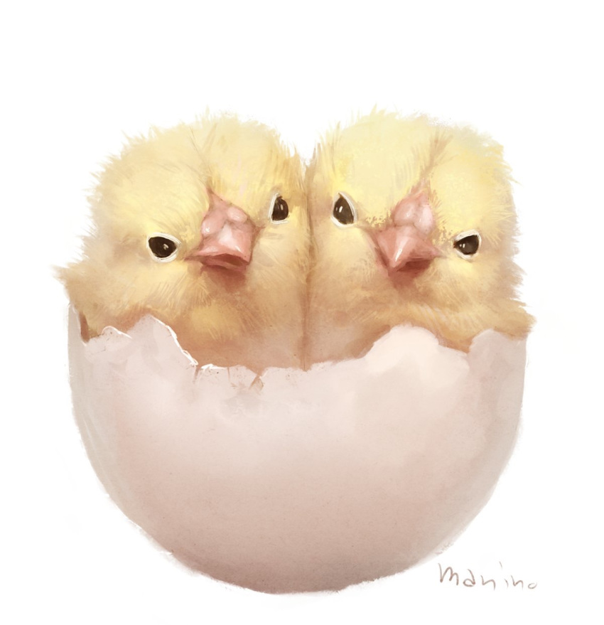 bird black_eyes chick commentary egg highres looking_at_viewer manino_(mofuritaionaka) no_humans original siblings signature simple_background twins white_background