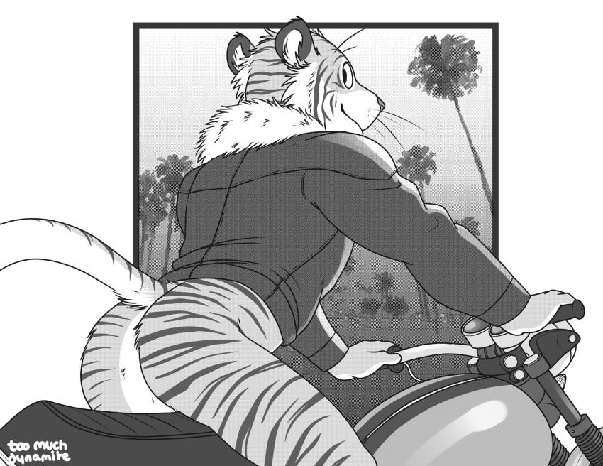 anthro bottomless butt clothed clothing feline looking_back male mammal motorcycle solo tiger toomuchdynamite vehicle