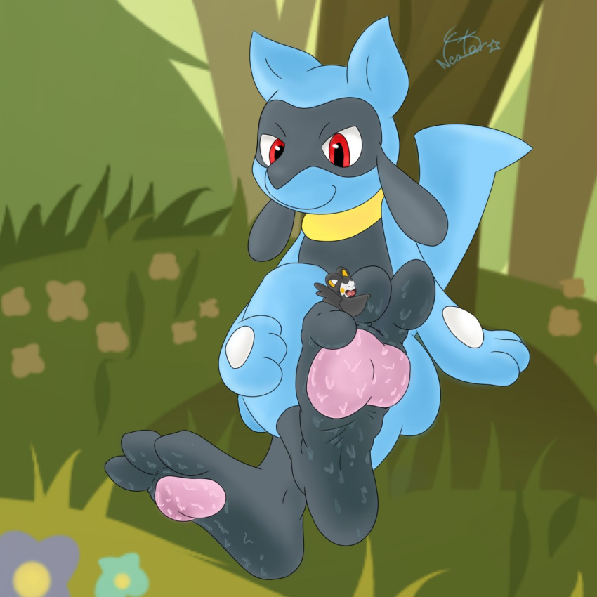 ambiguous/ambiguous ambiguous_gender anthro canine domination emolga feet feral flower foot_fetish foot_lick licking mammal micro nintendo paws plant playing pok&eacute;mon pok&eacute;mon_(species) riolu smelly submissive sweat tongue tongue_out tree video_games xneostarx