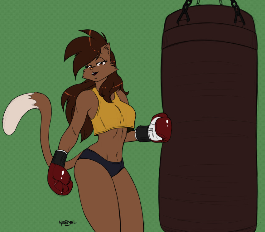 2018 anthro athletic boxing boxing_gloves bra breasts brown_eyes brown_fur brown_hair brown_tail cat clothing deborah_bispo dipstick_tail drawing-4ever eyebrows eyelashes feline female fur green_background hair half-closed_eyes hotpants inner_ear_fluff long_hair looking_at_viewer mammal multicolored_tail navel open_mouth open_smile pink_nose pose punch punching punching_bag side_boob signature simple_background smile solo sport standing two_tone_tail underwear wendel2 white_tail