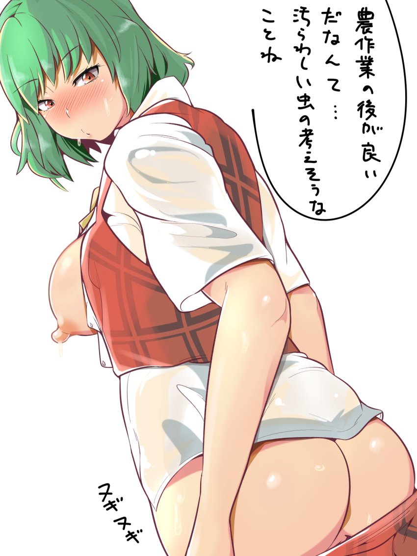 ascot ass bangs bare_arms blush breasts cleft_of_venus commentary_request eyebrows_visible_through_hair from_behind green_hair hekiga_(freelot) highres kazami_yuuka looking_at_viewer looking_back medium_breasts nipples no_bra no_panties nose_blush open_clothes open_shirt open_vest plaid plaid_skirt plaid_vest pulled_by_self pussy pussy_peek red_eyes red_skirt red_vest shirt short_hair short_sleeves skirt skirt_pull skirt_set solo standing sweat touhou translation_request twisted_torso undressing upper_body vest white_shirt yellow_neckwear