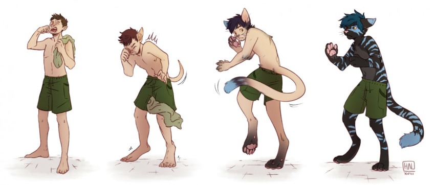 anthro black_fur cat clothed clothing digitigrade feline fur hindpaw human mammal multiple_images pawpads paws reservoirdog_(artist) sequence shorts sneeze solo striped_fur stripes topless transformation unnatural_colors