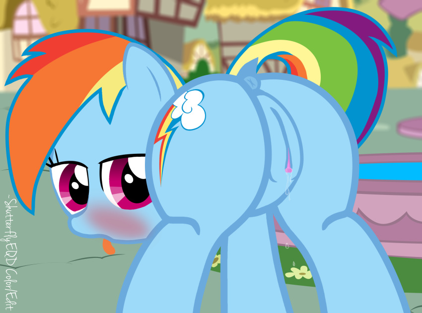 2015 anus blue_fur blush butt clitoris dock equine female feral friendship_is_magic fur hair horse mammal multicolored_hair multicolored_tail my_little_pony outside pony puffy_anus pussy pussy_juice rainbow_dash_(mlp) rainbow_hair rainbow_tail shutterflyeqd solo tongue tongue_out wet