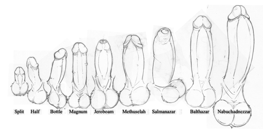 anatomy big_penis comparison disembodied_penis english_text erection fuzzy_balls hi_res how-to huge_penis humanoid_penis line_art male monochrome neenya not_furry penis penis_sheet penis_size_difference small_penis text uncut zero_pictured