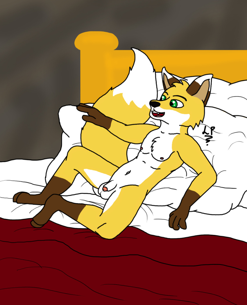 anthro balls bed canine cub fox fur green_eyes hair hi_res husain iampretor male mammal navel nude penis pillow prince royalty sex slave solo what yellow_fur young