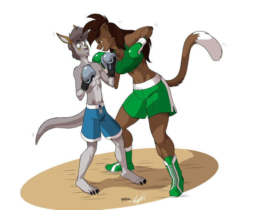 2018 age_difference anthro boots boxing boxing_gloves boxing_trunks breasts cat clothed clothing collaboration cub deborah_bispo digital_media_(artwork) domination drawing-4ever duo eyebrows fear feet feline female female_domination footwear fur hair imminent_violence inner_ear_fluff kangaroo larger_female levi_west lonewolf_(343) long_hair male male/female mammal marsupial rape_face scared signature simple_background size_difference smile sport standing teenager teeth topless wendel2 young