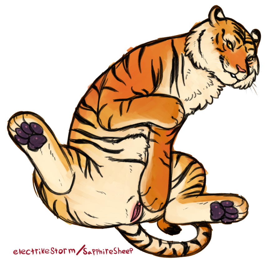 2018 clitoris electrikestorm feline female feral fur hi_res mammal orange_fur pawpads paws pink_nose pussy simple_background smile solo spread_legs spreading striped_fur stripes tiger whiskers white_background yellow_eyes
