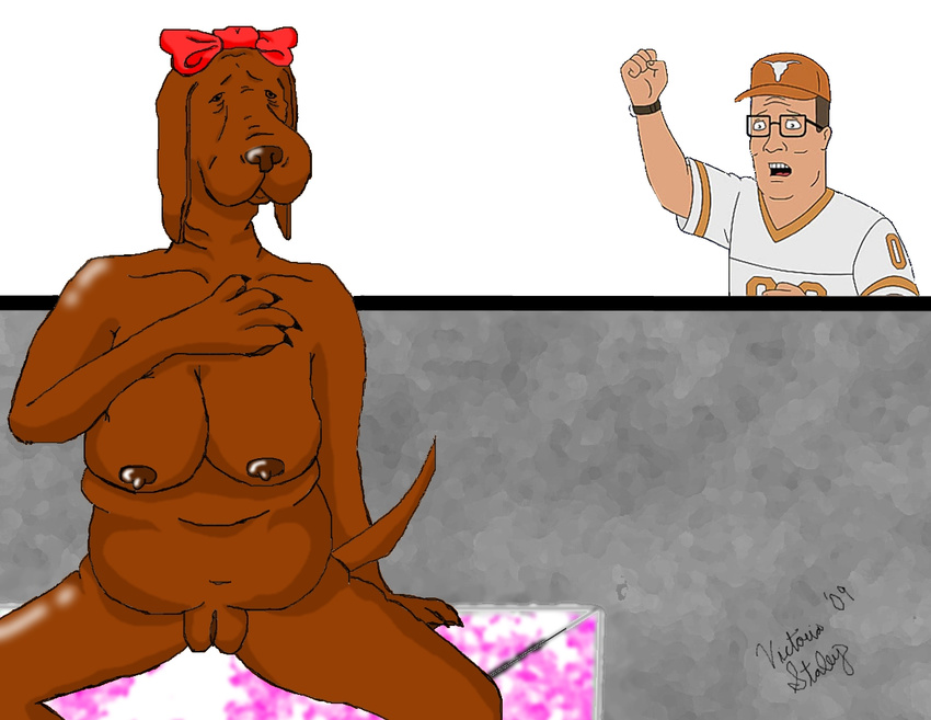 bow breasts brown_fur brown_hair canine chubby dog eyewear female fur glasses hair hank_hill human king_of_the_hill ladybird mammal nipples nude pussy sarah_furry shocked spread_legs spreading what why