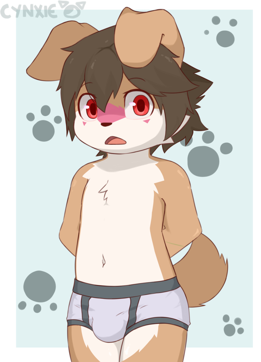 absurd_res anthro briefs brown_fur brown_hair bulge canine child clothed clothing cub cynxie_(artist) dog fur hair hands_behind_back hi_res looking_at_viewer male mammal marble_(cynxie) open_mouth red_eyes topless underwear young