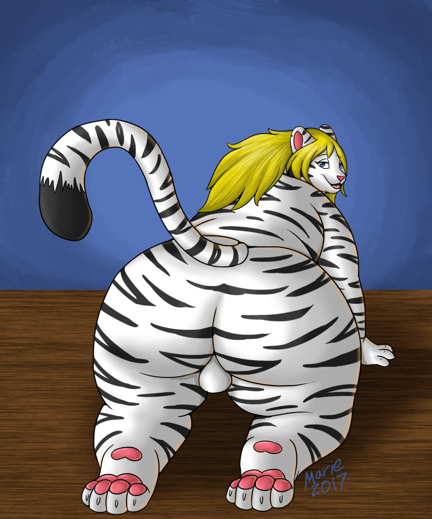 absurd_res anthro backsack balls big_butt blonde_hair butt feline girly hair hi_res lilbluefoxie looking_at_viewer looking_back male mammal nyland overweight paws presenting presenting_hindquarters rear_view solo tiger white_tiger