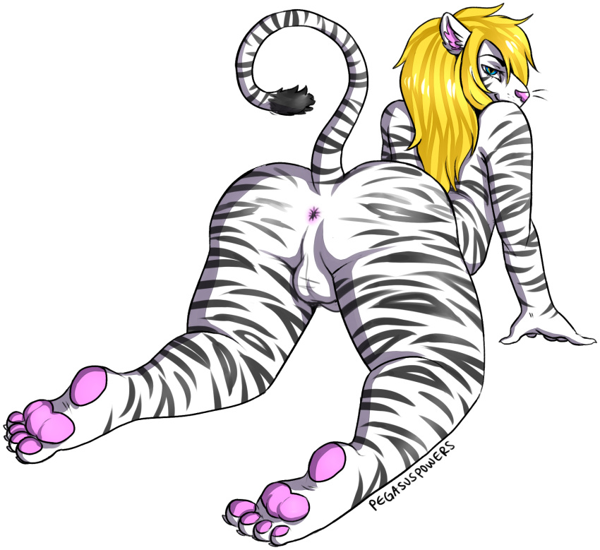 alpha_channel anthro anus backsack balls blonde_hair butt feline girly hair hands_and_knees hardcorecandystore hi_res male mammal nude nyland pawpads paws penis pink_pawpads presenting presenting_hindquarters simple_background slightly_chubby solo thick_thighs tiger transparent_background white_tiger wide_hips
