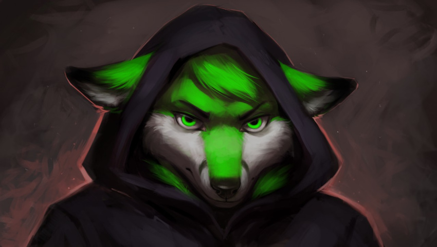 anthro canine clothed clothing fox fur hair hood keumano looking_at_viewer male mammal simple_background solo