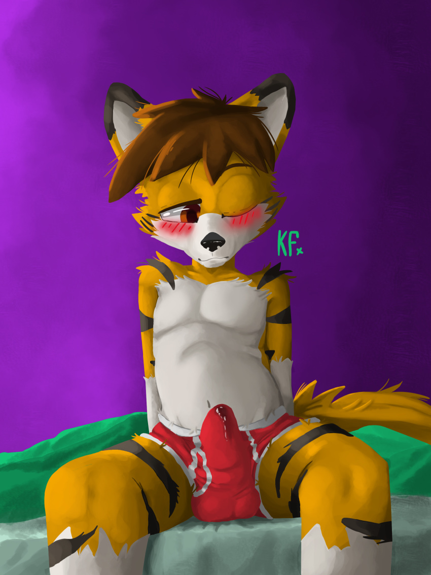 anthro black_nose blush briefs brown_eyes brown_hair bulge canine child clothing cub erection fox fur hair katxfish male mammal orange_fur precum sitting solo underwear white_fur young