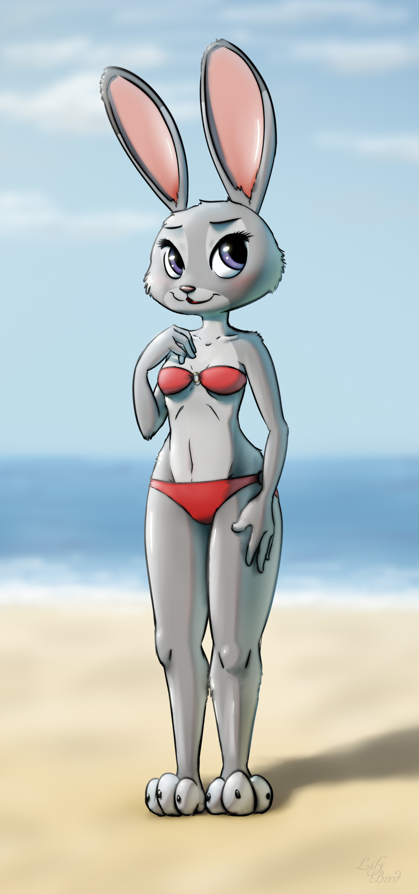 anthro beach bikini blush breasts clothed clothing disney female fur grey_fur judy_hopps lagomorph lilybird mammal navel purple_eyes rabbit seaside solo swimsuit zootopia