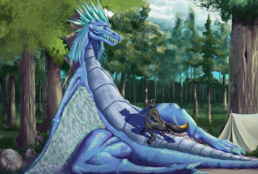 2018 animal_genitalia animal_penis anthro anus auroth_the_winter_wyvern balls bedroom_eyes big_balls big_penis black_fur blue_eyes blue_hair blue_scales butt camp canine canine_penis claws detailed_background digital_media_(artwork) dota dragon duo erection eyes_closed feathered_wings feathers female feral forest fur grey_fur hair half-closed_eyes hi_res intersex male male/female mammal multicolored_fur nude open_mouth outside penetration penis pussy pussy_juice reptile scales scalie seductive sex size_difference spikes tall_lizzard_(artist) teeth tent thick_thighs tongue tree vaginal video_games wide_hips wings wolf wyvern