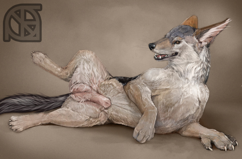 balls black_nose canine cosmiclife hi_res jackal looking_at_viewer male mammal paws penis pinup pose semi-anthro solo spread_legs spreading whiskers