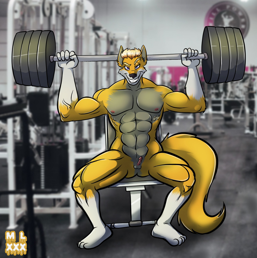 anthro balls blake canid canine canis erection gym hi_res male mammal micropenis mlock muscular penis small_balls wolf work_out