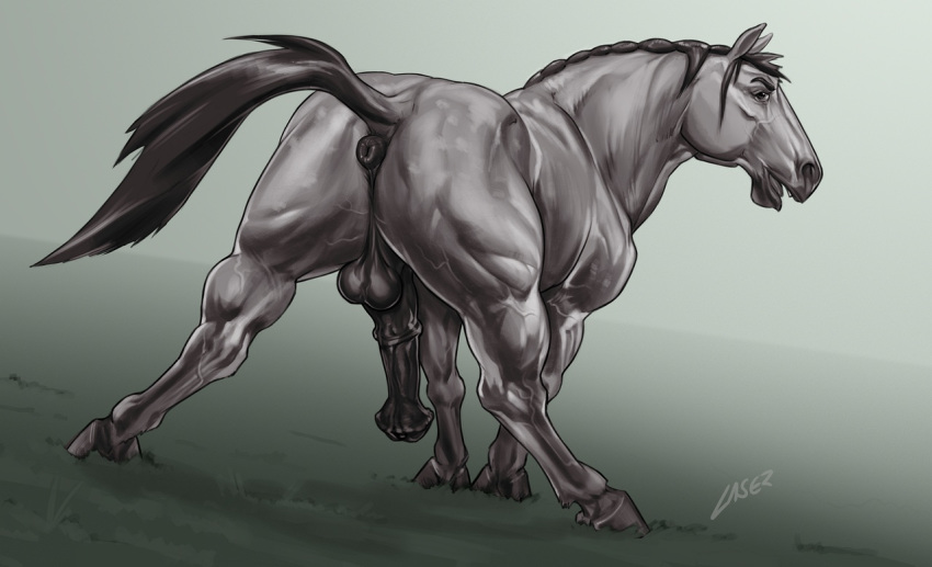 anatomically_correct anatomically_correct_genitalia anatomically_correct_penis animal_genitalia animal_penis anus balls butt draft_horse equine equine_penis erection feral flared_penis grey_skin horse laser_(artist) looking_at_viewer looking_back male mammal medial_ring muscular nude penis presenting presenting_anus presenting_hindquarters presenting_penis puffy_anus raised_tail solo vein