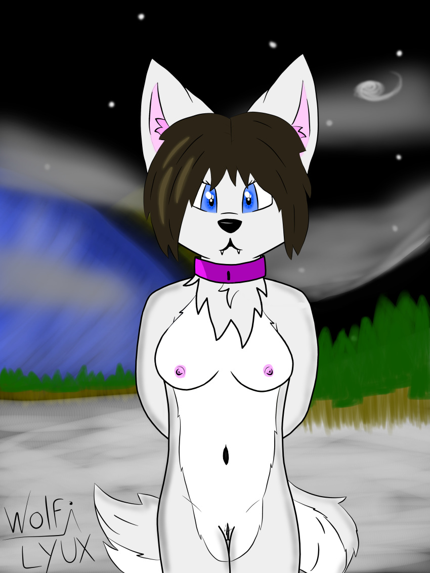 canine female hi_res mammal nude solo wolf wolfilyux