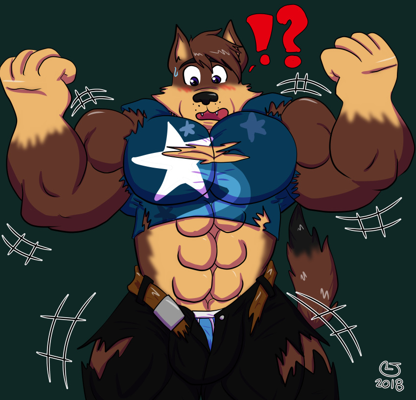 ! ? anthro belt canine clothed clothing destruction fully_clothed growth male mammal muscle_growth muscular torn_clothing underwear