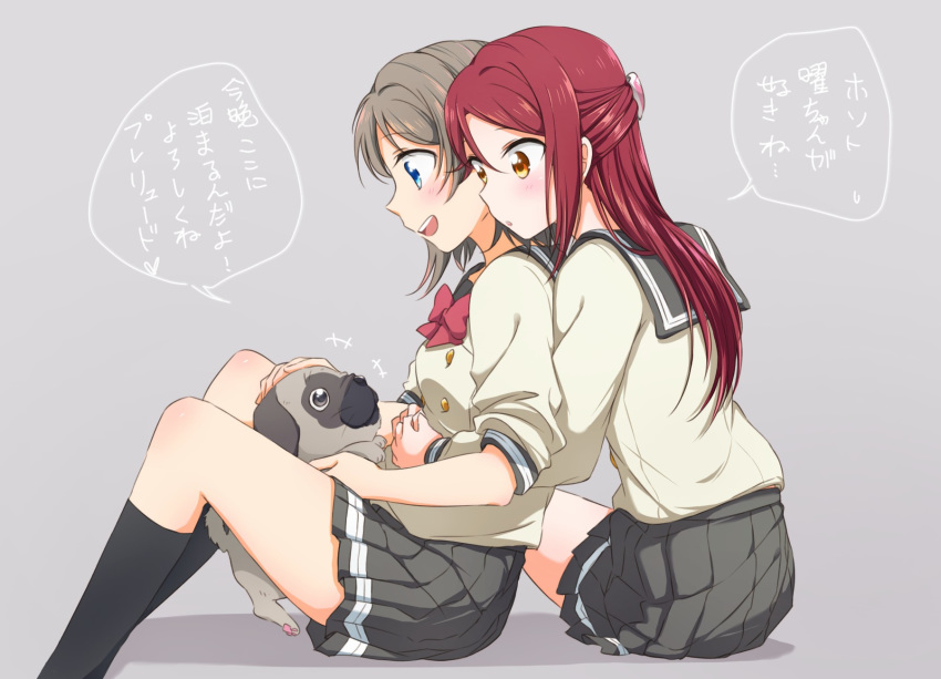 +++ 2girls :d animal between_legs black_legwear blue_eyes blush bow bowtie dog grey_background grey_hair grey_skirt hair_ornament hairclip half_updo highres hug hug_from_behind long_hair love_live! love_live!_sunshine!! miniskirt multiple_girls open_mouth petting pleated_skirt red_hair red_neckwear sakurauchi_riko school_uniform serafuku short_hair sitting skirt sleeves_pushed_up smile socks translation_request watanabe_you yellow_eyes yuchi_(salmon-1000)