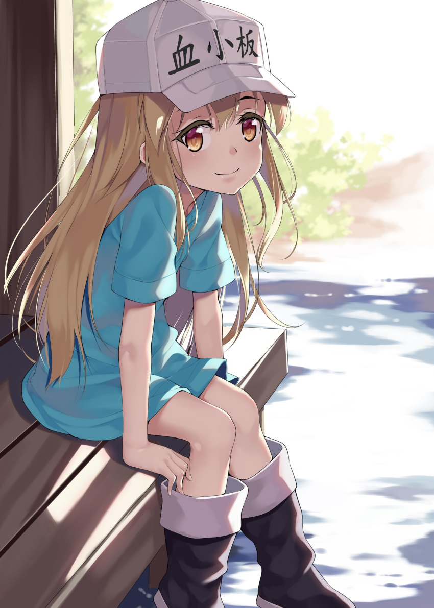 absurdres aoi_(buzhuen444) arm_support black_footwear blue_shirt blurry brown_shorts bush character_name child commentary day depth_of_field eyebrows_visible_through_hair feet_out_of_frame flat_cap grey_hat hair_between_eyes hat hataraku_saibou highres light_brown_hair long_hair looking_at_viewer outdoors platelet_(hataraku_saibou) shirt short_sleeves shorts sitting smile solo sunlight white_hat wooden_floor