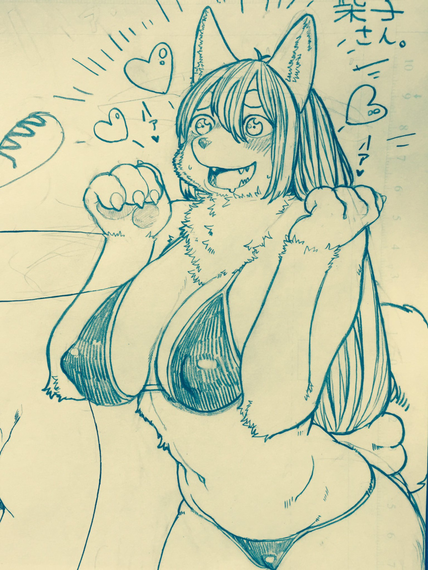 &lt;3 bra breasts canine claws cleavage clothed clothing dog fangs female fluffy hair hi_res inner_ear_fluff japanese_text long_hair mammal navel nipple_bulge panties pawpads paws simple_background sketch smile solo teeth text toco_(artist) tongue translation_request underwear
