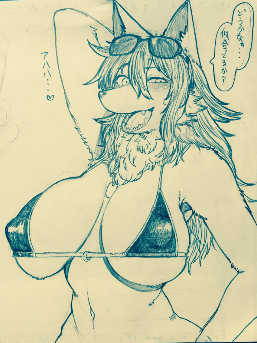 bra breasts canine clothing dialogue dog dog_tags eyewear female fluffy hair hi_res inner_ear_fluff japanese_text long_hair looking_at_viewer mammal monochrome navel nipple_bulge simple_background sketch solo squint standing sunglasses text toco_(artist) translation_request underwear