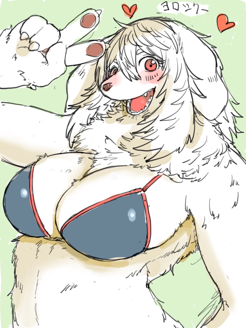 &lt;3 anthro big_breasts bra breasts canine claws cleavage clothed clothing digital_media_(artwork) dog fangs female fluffy fur hair hi_res japanese_text long_hair looking_at_viewer mammal open_mouth pawpads paws red_eyes simple_background smile solo teeth text toco_(artist) tongue translation_request underwear white_fur white_hair