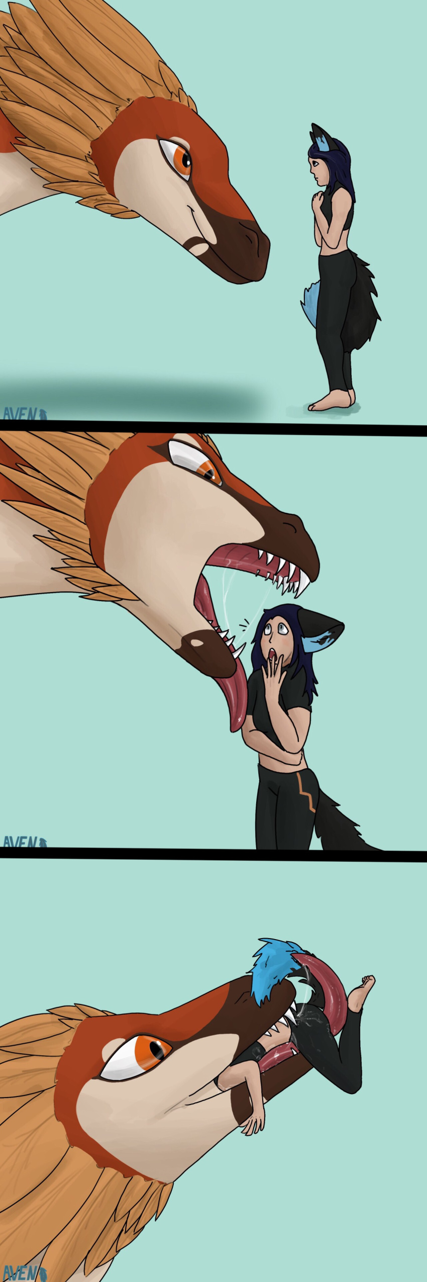 2018 5_toes animal_humanoid aventail blue_hair body_in_mouth brown_eyes brown_feathers canine canine_humanoid clothed clothing comic digital_media_(artwork) domination dragon duo fangs feathered_dragon feathers feet female feral forced fox fox_humanoid fricia hair head_first hi_res humanoid mammal open_mouth oral oral_vore saliva scared sharp_teeth side_view size_difference smaller_female soft_vore soles submissive submissive_female teeth toes tongue tongue_out vore white_feathers young