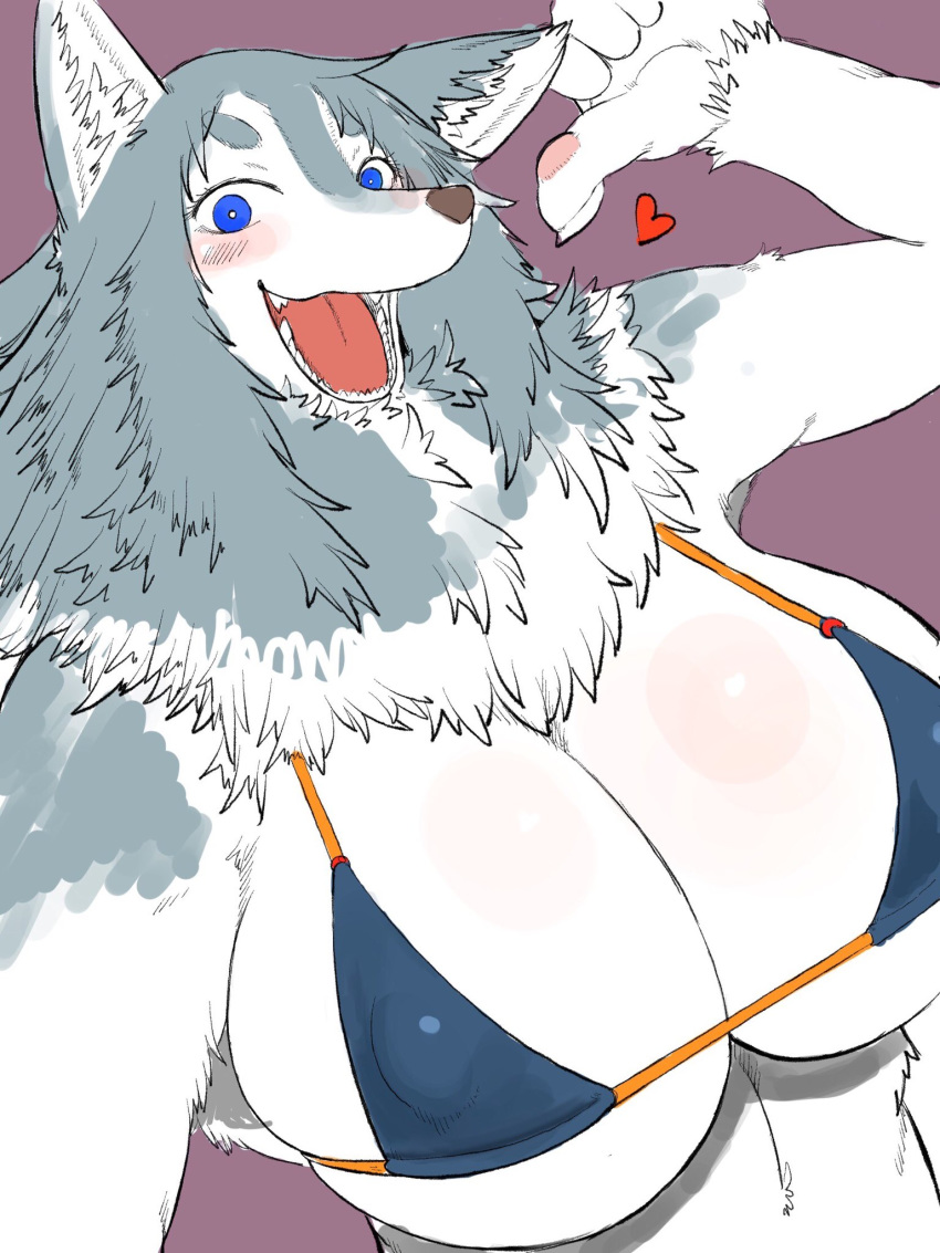 &lt;3 anthro big_breasts blue_eyes bra breasts canine claws cleavage clothed clothing digital_media_(artwork) dog fangs female fluffy fur grey_fur hi_res huge_breasts inner_ear_fluff looking_at_viewer mammal multicolored_fur nipple_bulge open_mouth pawpads paws selfie simple_background smile solo teeth toco_(artist) tongue two_tone_fur underwear white_fur