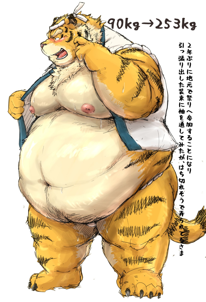 2016 barazoku blush bulge clothed clothing feline full_portrait fundoshi headband japanese_clothing japanese_text kemono kotobuki looking_aside male mammal muscular obese overweight partially_clothed simple_background solo standing sweat text tiger underwear weight_gain white_background