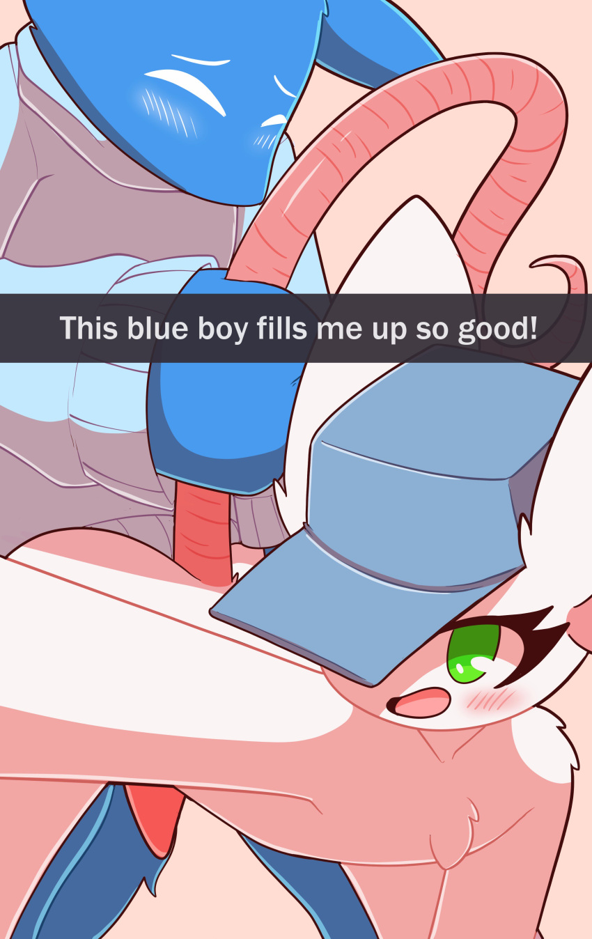 2017 absurd_res all_fours anal anal_penetration anthro anthro_on_anthro biped blue_fur blue_tail blush bottomless canine chest_tuft clothed clothing digital_drawing_(artwork) digital_media_(artwork) doggystyle duo english_text erection eyelashes eyes_closed fox from_behind_position fur girly green_eyes hat hat_only hi_res interspecies kili_(kilinah) long_tail looking_at_viewer looking_pleasured male male/male mammal mostly_nude mouse open_mouth open_smile penetration penis pink_background pink_penis pink_tail predator/prey rat_tail reggie_(whygena) rodent selfie sex shadow simple_background smile snapchat snout standing sweater tail_grab tapering_penis text toony tuft white_fur whygena