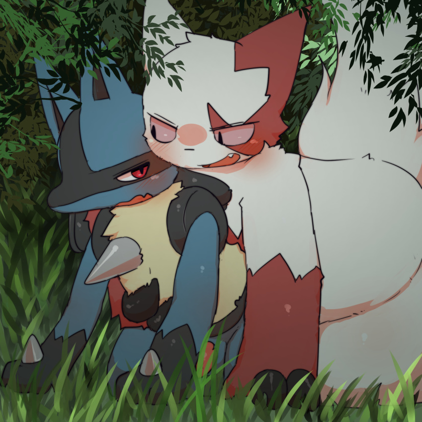 2018 all_fours ambiguous_gender blush canine claws convenient_censorship cute_fangs digital_media_(artwork) duo erection eye_contact fur grabbing_from_behind grass half-closed_eyes hi_res kemono lucario male mammal multicolored_fur naughty_face nintendo nude open_mouth outside penis pok&eacute;mon pok&eacute;mon_(species) red_fur slightly_chubby smile video_games white_fur yellow_fur zangoose みぜる