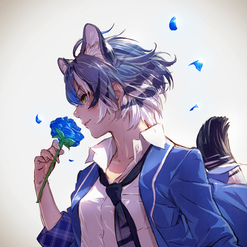 animal_ear_fluff animal_ears backlighting bangs blue_flower blue_hair blue_jacket blue_neckwear blue_rose commentary_request dress_shirt extra_ears flower from_side highres holding holding_flower jacket kemono_friends maltese_tiger_(kemono_friends) multicolored_hair necktie nose open_clothes open_jacket petals profile realistic rose shirt short_hair smelling smile solo tail tail_raised takami_masahiro tiger_ears tiger_girl tiger_tail upper_body white_hair white_shirt yellow_eyes