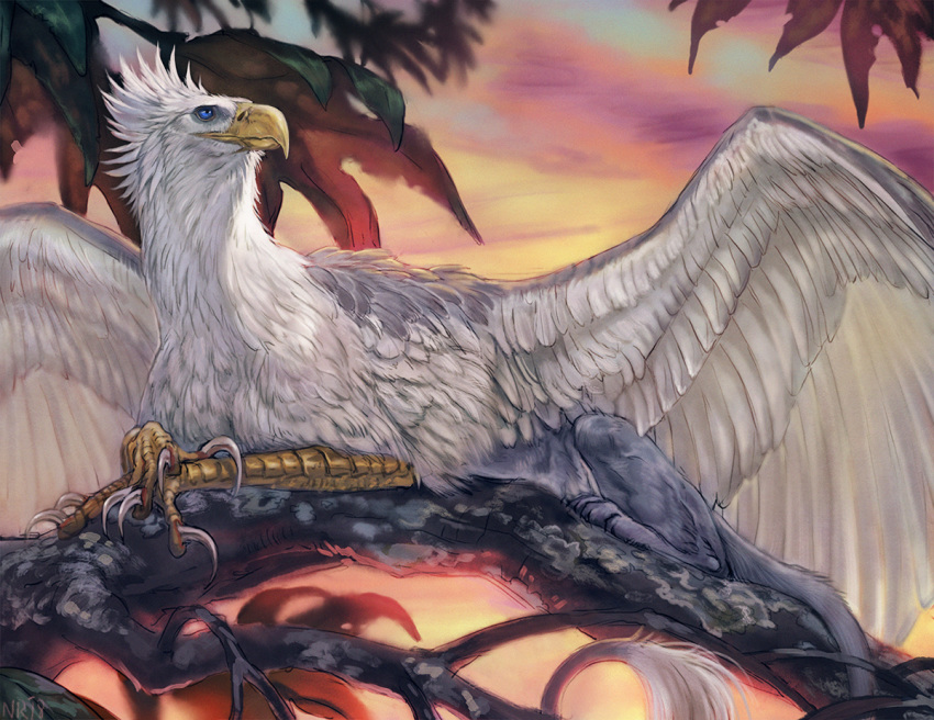 2018 ambiguous_gender avian beak claws day detailed_background digital_media_(artwork) feathered_wings feathers gryphon lying outside sky tatchit white_feathers wings yellow_beak