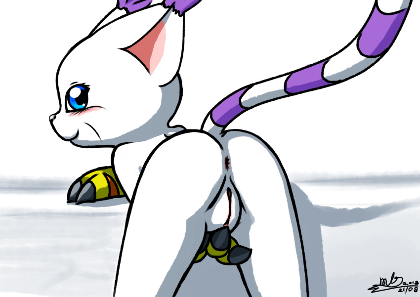 2018 anus black_nose blue_eyes blush butt claws clothed clothing digimon digimon_(species) digital_media_(artwork) feline female fur gatomon gloves hi_res mammal milesnukem presenting pussy simple_background smile solo whiskers white_fur